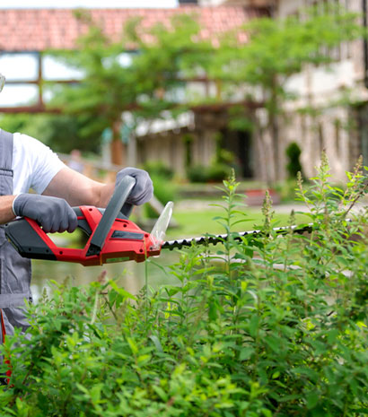 Gardening Sydney